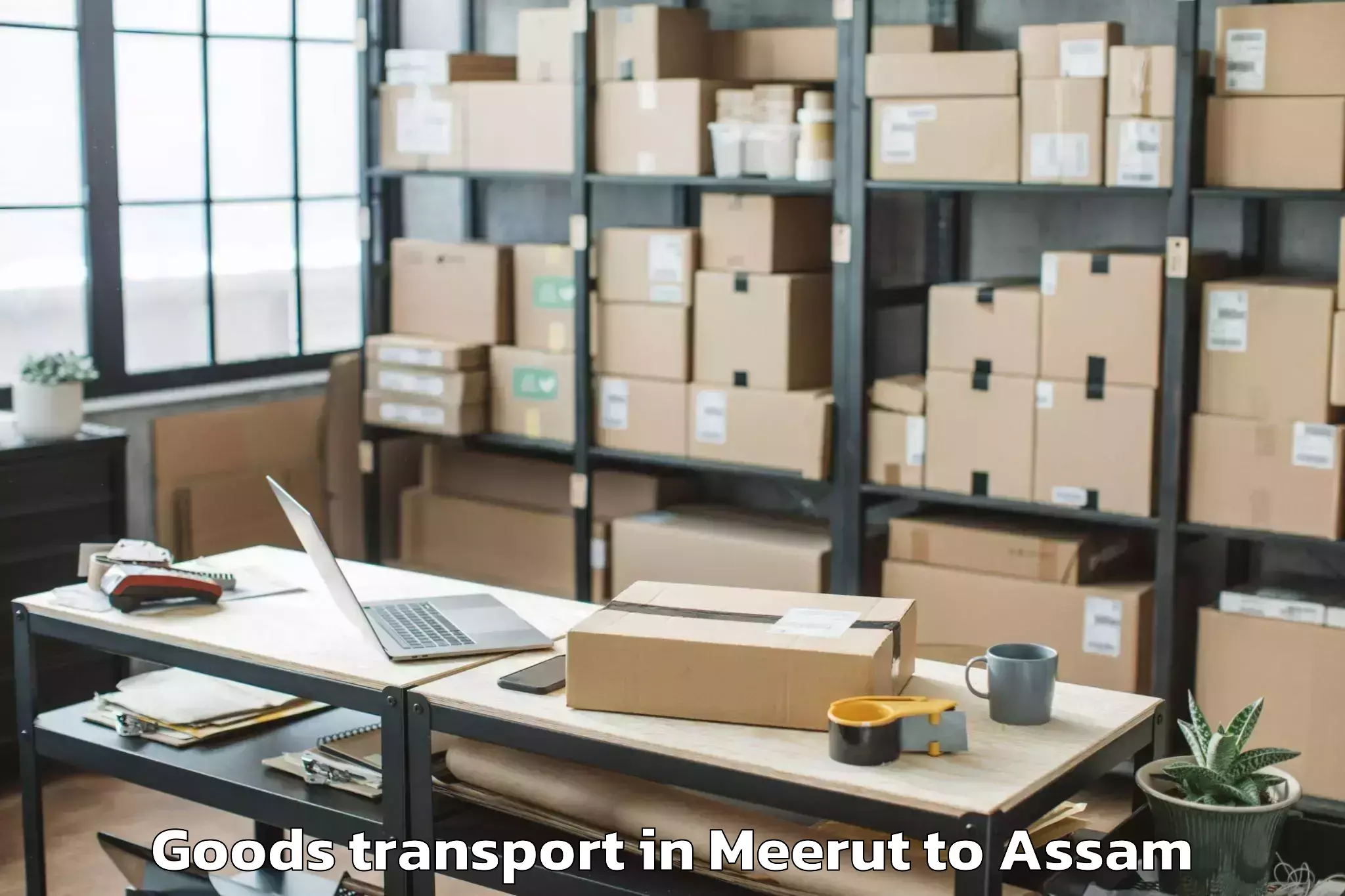 Discover Meerut to Jorhat West Goods Transport